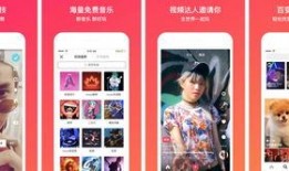 今日即墨爆料新闻直播视频,直播视频揭示惊人事件！